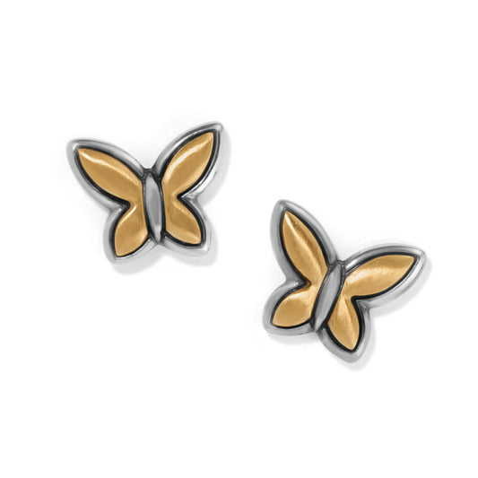 Goldie Wings Mini Post Earrings - Brazos Avenue Market 