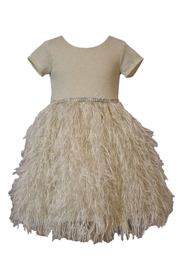 Shimmer and Shine Dress 6 Shimmer and Shine Dress 6