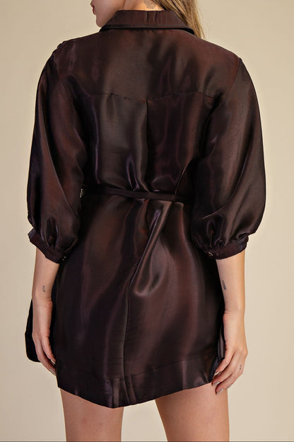 Puff Sleeve Waist Tie Shirt Mini Dress - Brazos Avenue Market 