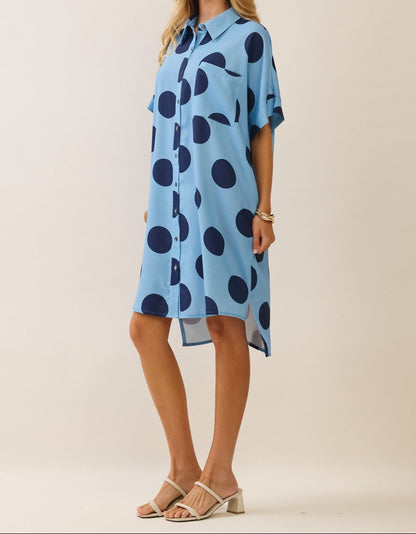 Polka Dot Button Down Dress