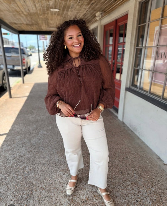 Brown Light Weight Long Sleeve Top
