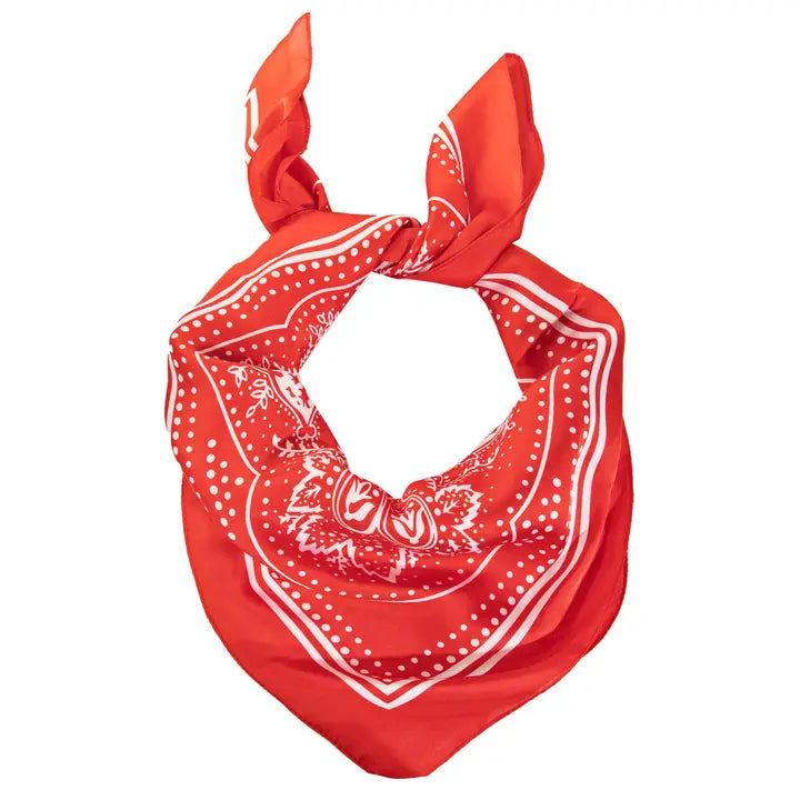 Paisley Design Square Scarf - Brazos Avenue Market 