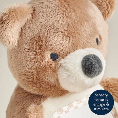 Theo the Bear - Itzy Bitzy Mirror™ - Brazos Avenue Market 