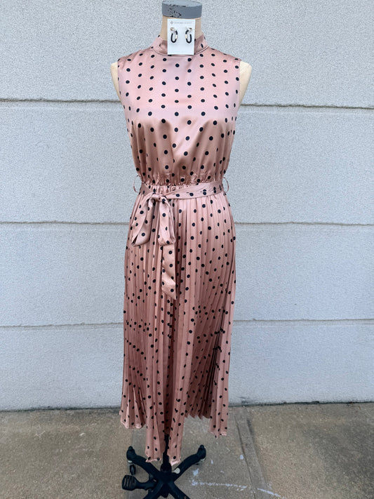 Polka Dot Pleated Dress