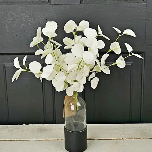 12in Foamy Silver Dollar Bush-Cream - Brazos Avenue Market 