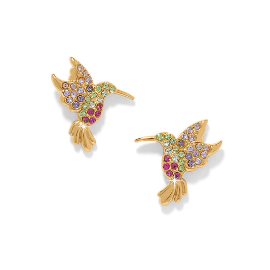 Enchanting Gem Hummingbird Earrings - Brazos Avenue Market 