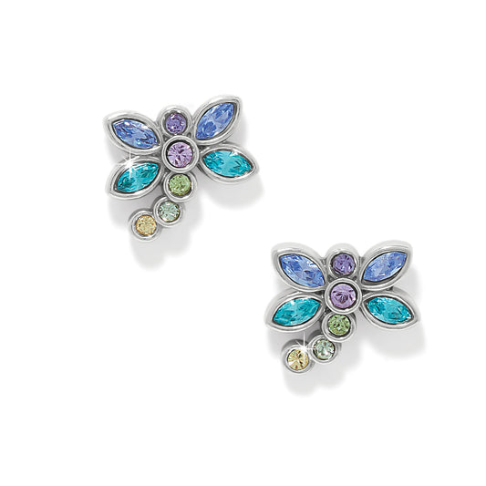 Enchanting Gem Dragonfly Earrings - Brazos Avenue Market 