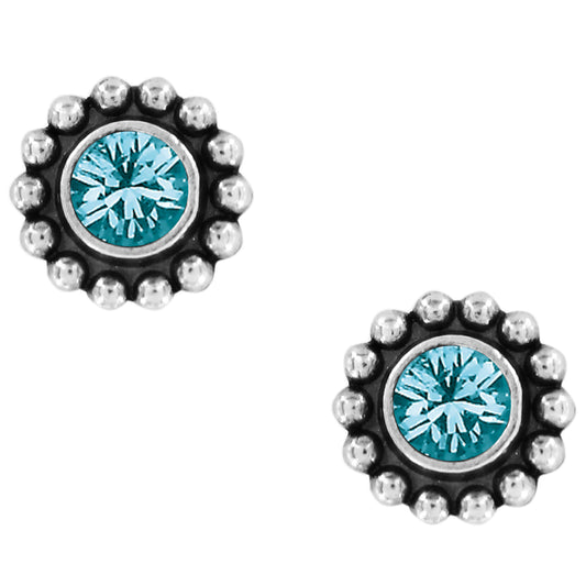 Twinkle Mini Post Earrings - Brazos Avenue Market 
