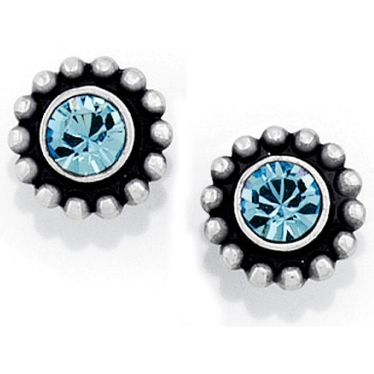 Twinkle Mini Post Earrings - Brazos Avenue Market 